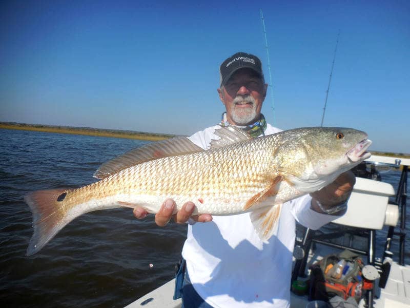 Huge redfish caught at Cedar Key